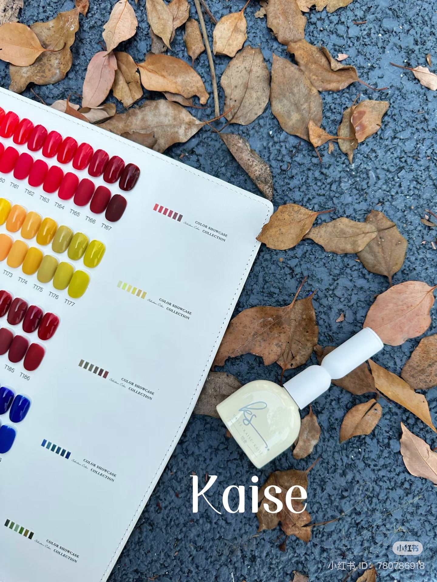 KAISE 206 COLOR GEL ONLY