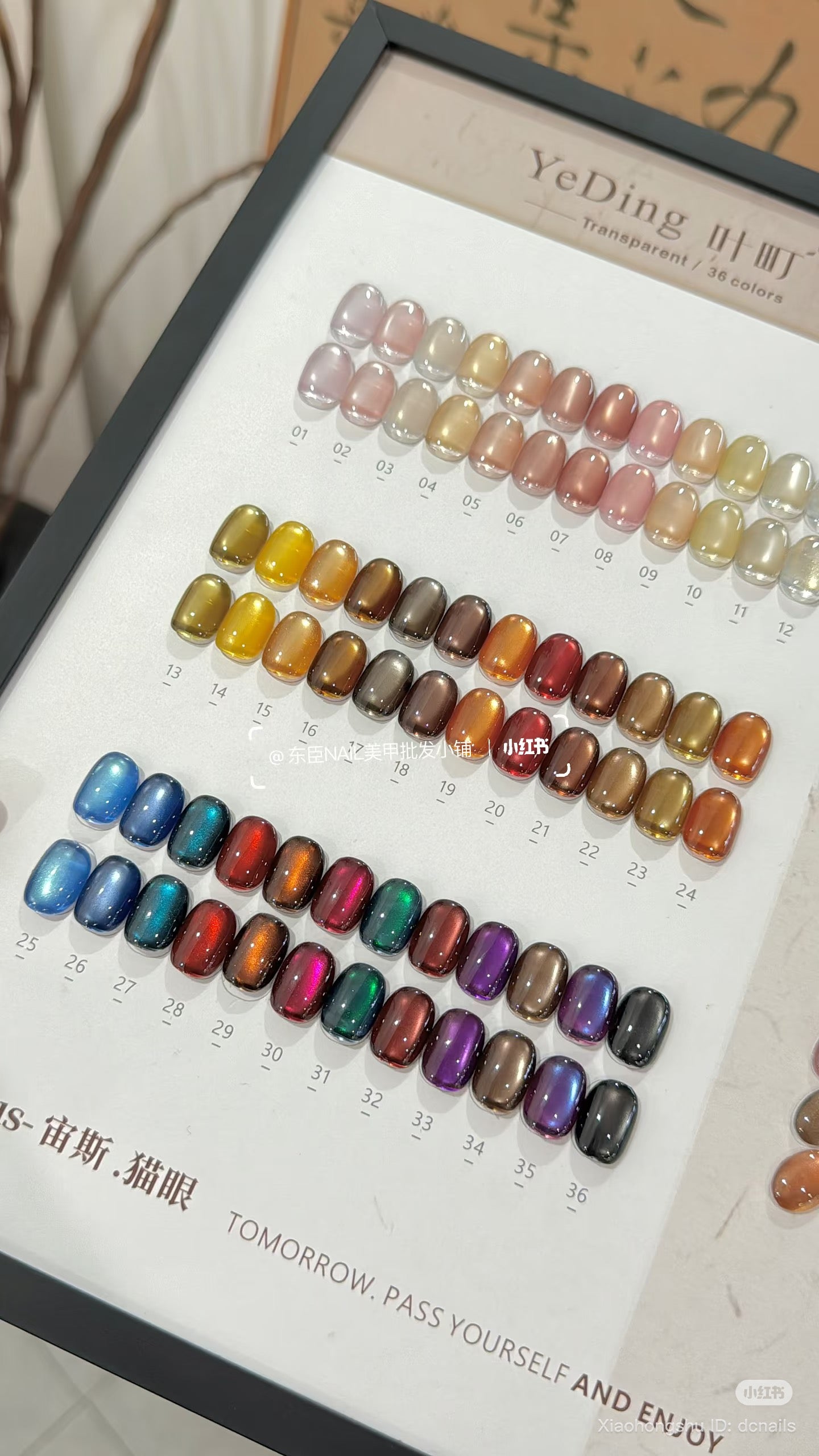 YEDING AUTUMN CATEYE 36 COLOR