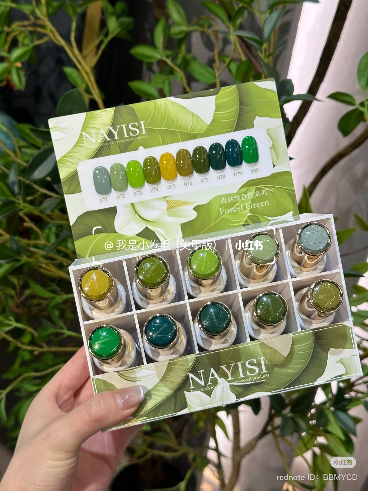 NAYISI SMALL SET GEL ( 12 COLOR / SET )
