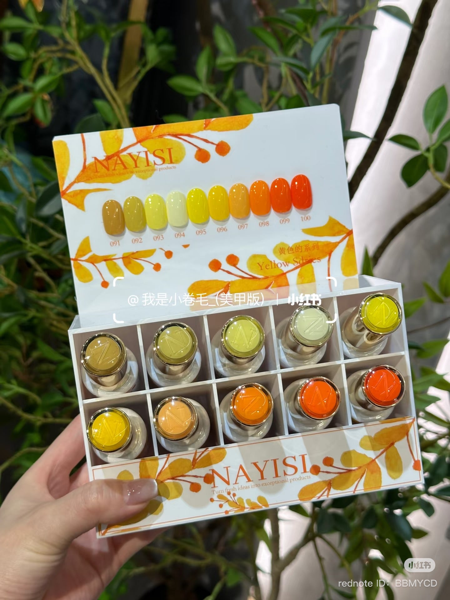 NAYISI SMALL SET GEL ( 12 COLOR / SET )