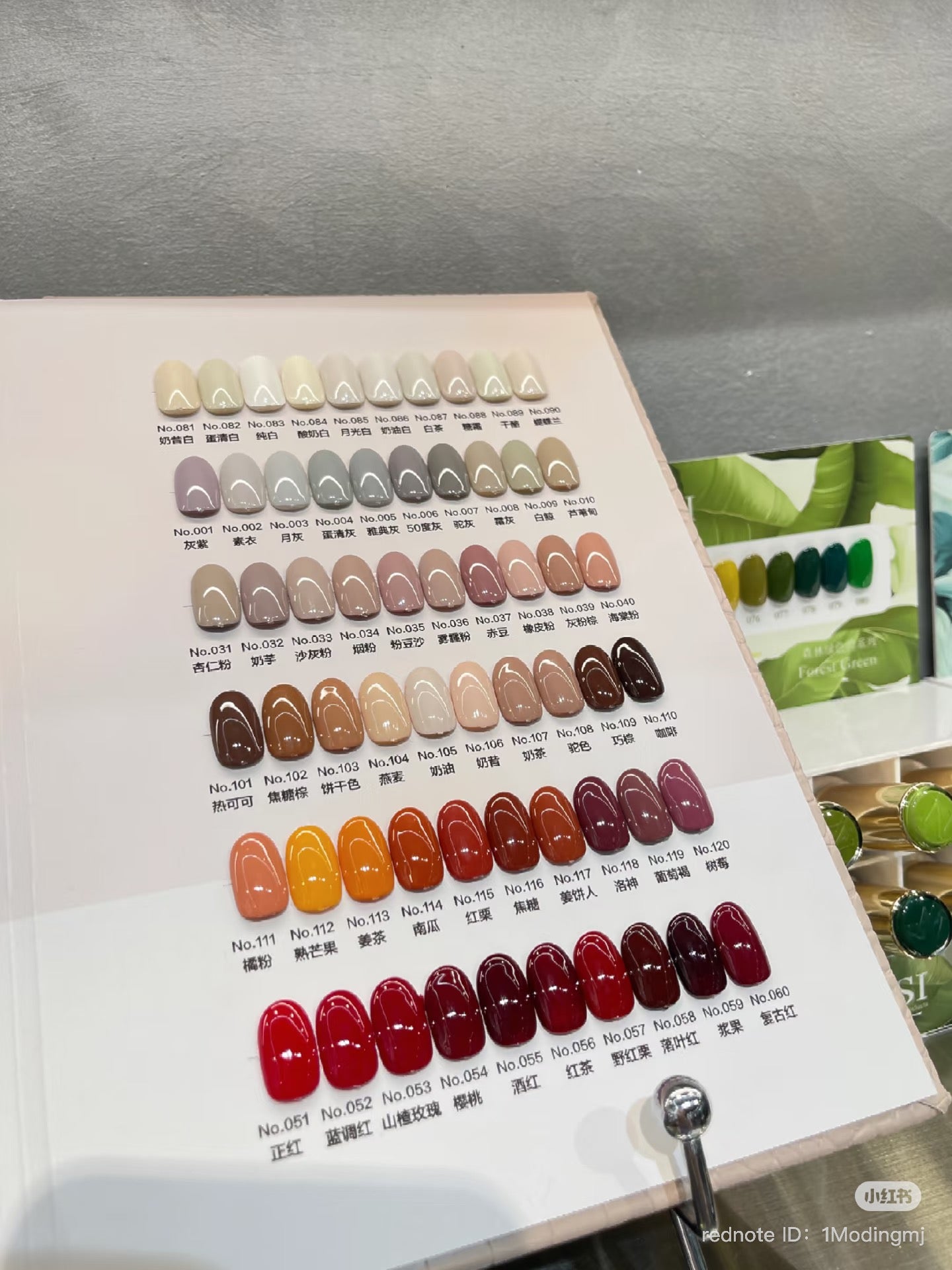 NAYISI SMALL SET GEL ( 12 COLOR / SET )